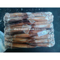 Fish Product Type and Block Shape Frozen Whole Round Squid